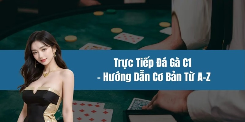 Đá gà trực tiếp C1